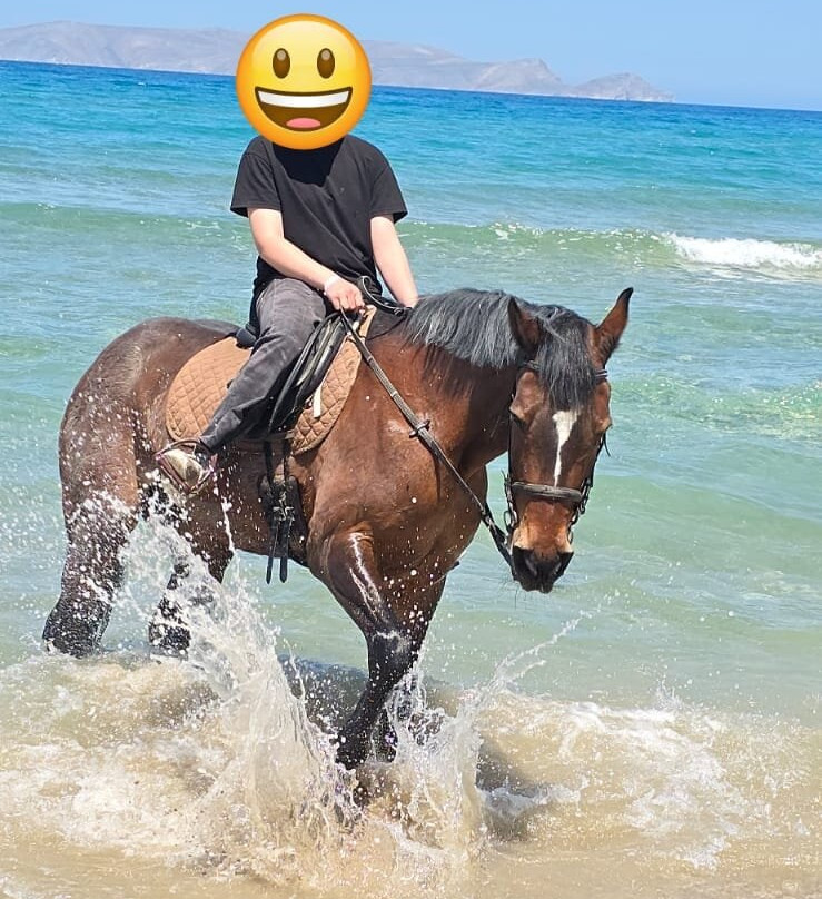Riding Academy of Crete - Ippikos Riding Club-Karteros必去景点