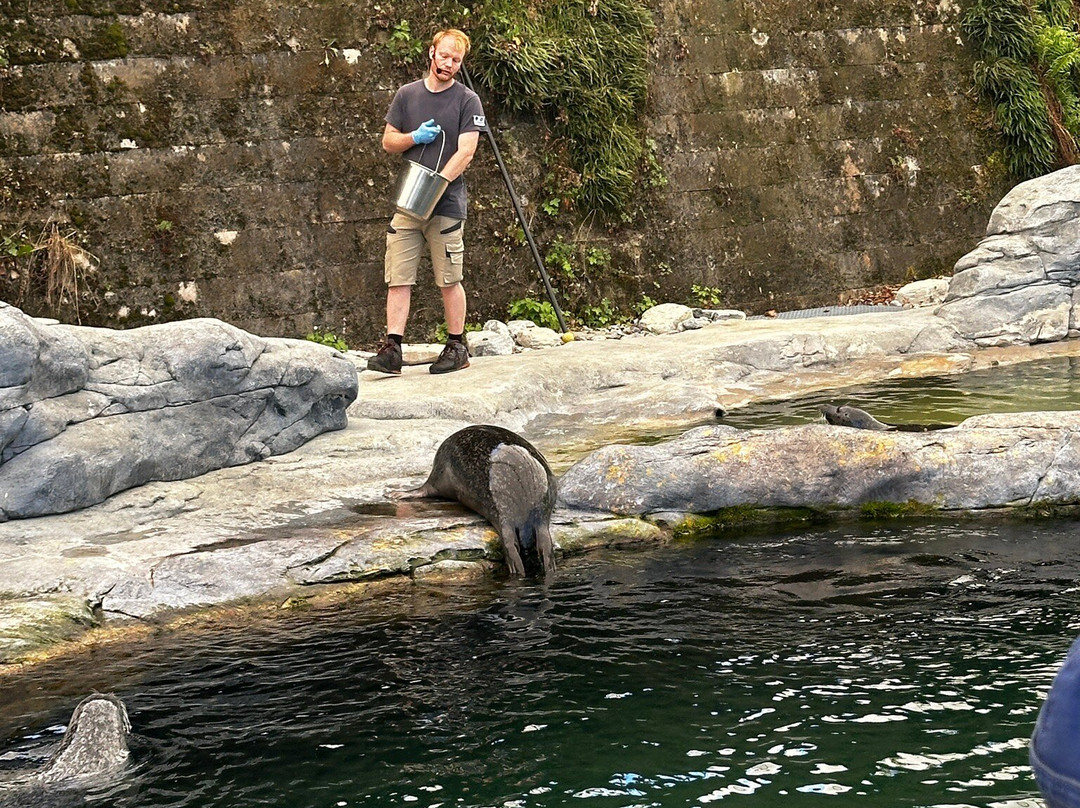 Tierpark Bern-伯尔尼必去景点