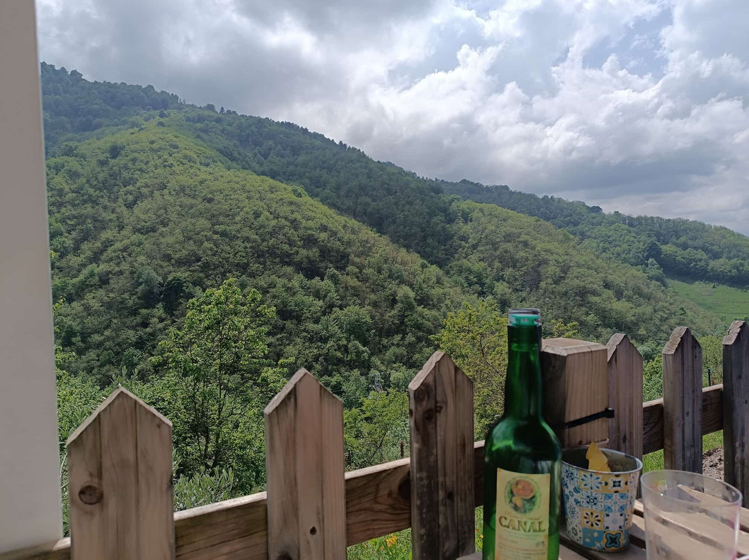 La Caleyuca