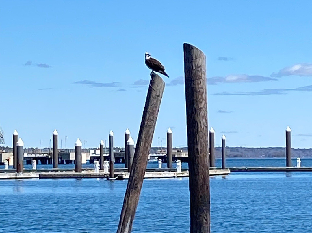 Spring Point Ledge Lighthouse-南波特兰必去景点