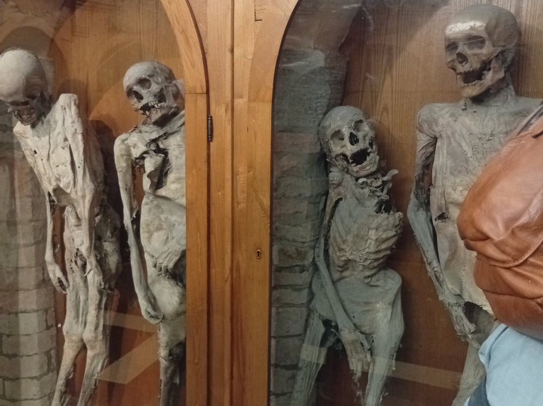 Church of The Dead-Urbania必去景点