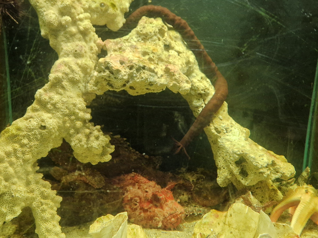 Aquarium Of Faliraki (Aquaworld)-Faliraki必去景点