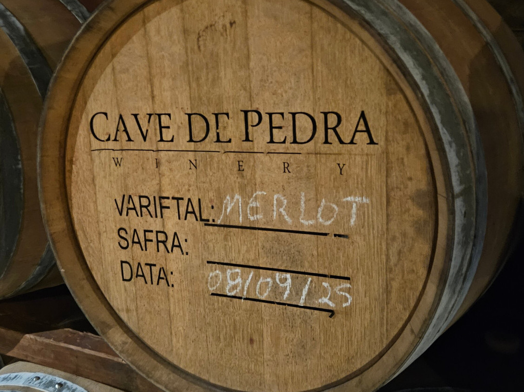 Vinícola Cave De Pedra-本图贡萨尔维斯必去景点