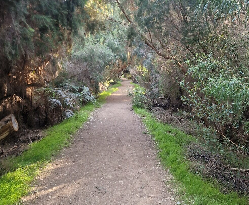 Yanchep National Park-扬切普必去景点