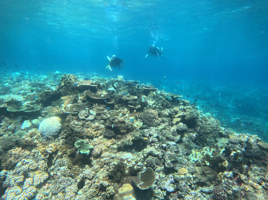 Deep Blue Diving-努库阿洛法必去景点