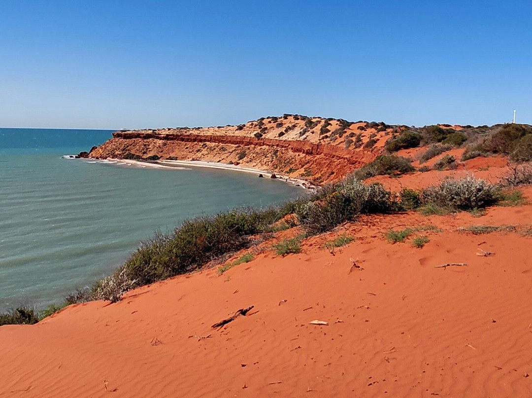 Shark Bay Coastal Tours-德纳姆必去景点