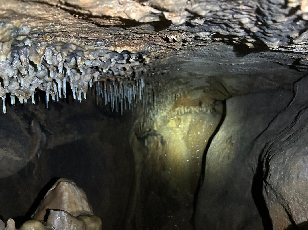Black-coffey Cavern-Greencastle必去景点