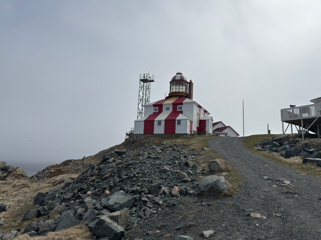 Cape Bonavista Lighthouse-Bonavista必去景点