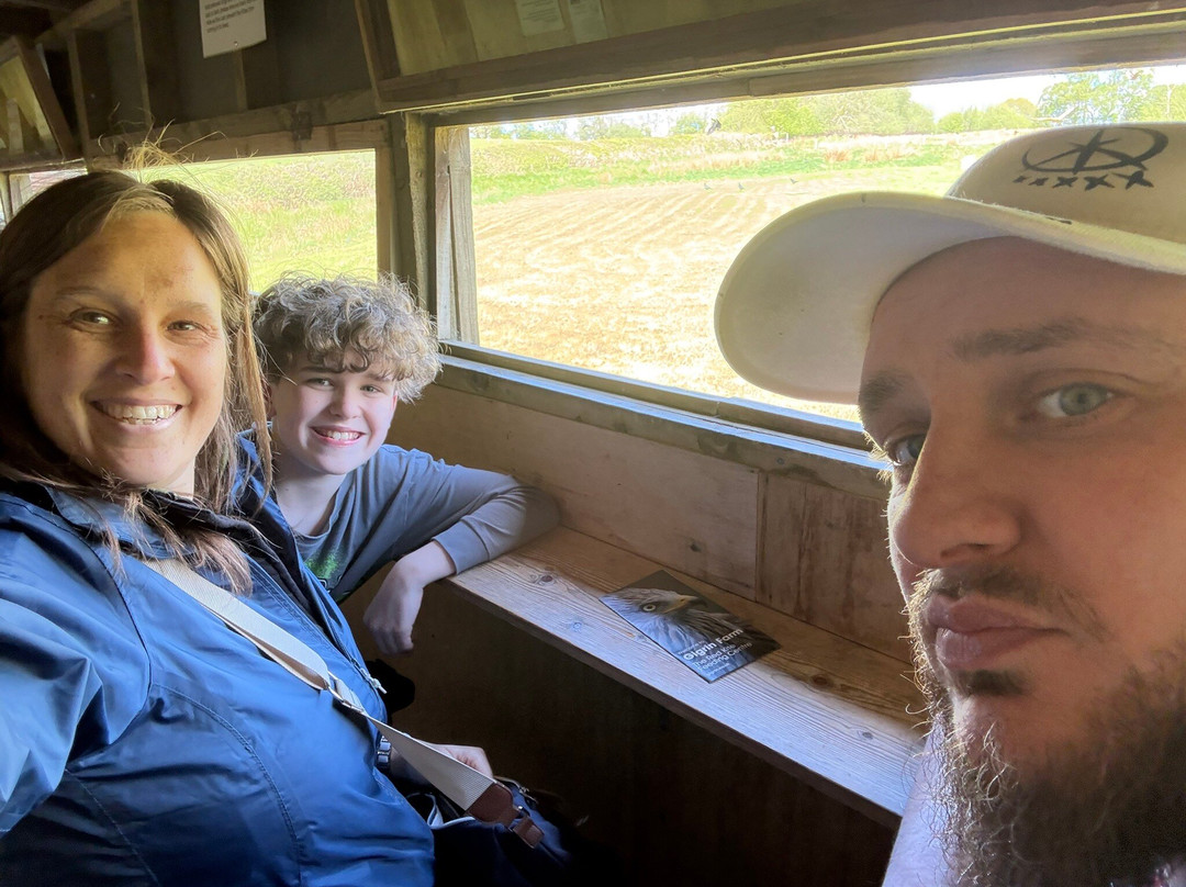 Gigrin Farm Red Kite Feeding Centre-Rhayader必去景点