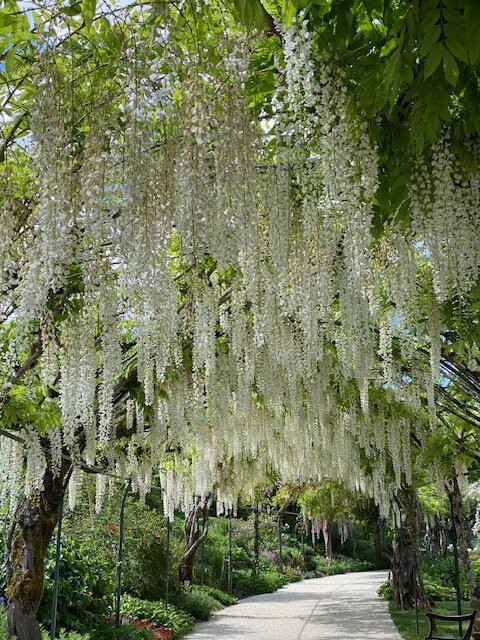 Parc Floral d'Apremont-Apremont-sur-Allier必去景点