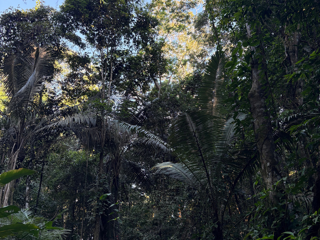 Wasai Tambopata Lodge主图