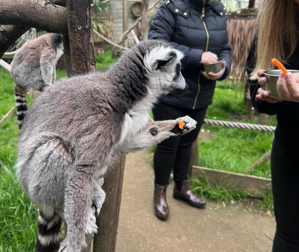 Wild Zoological Park-Bobbington必去景点