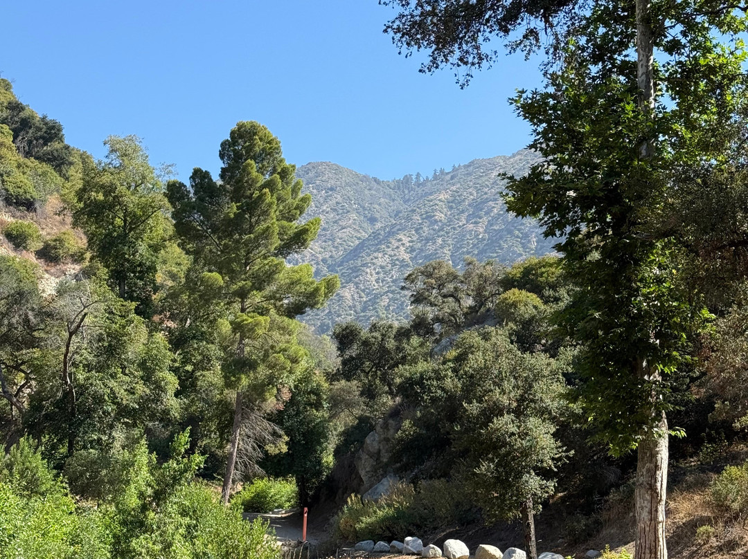 Monrovia Canyon Park-蒙罗维亚必去景点