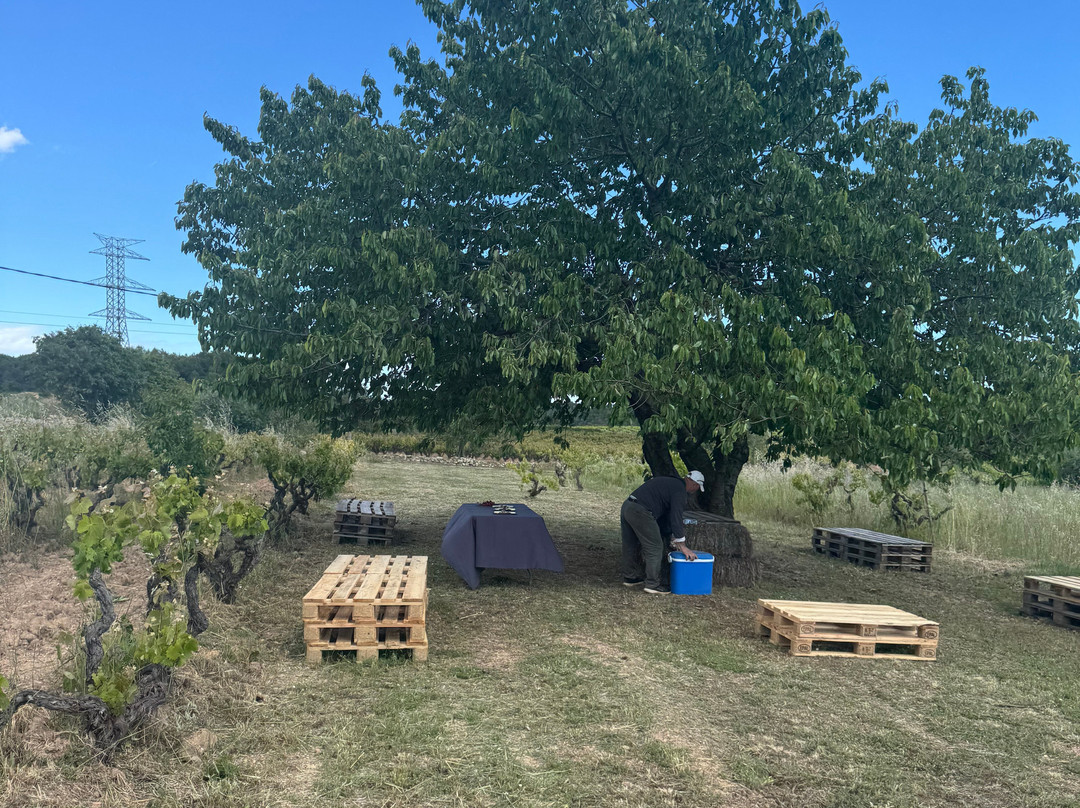 Penedes 500-El Pla de Manlleu必去景点