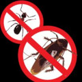 NaturalPestControl