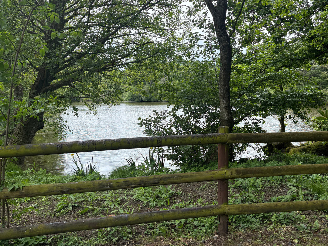 New Mill Carp Fisheries-Dompierre必去景点
