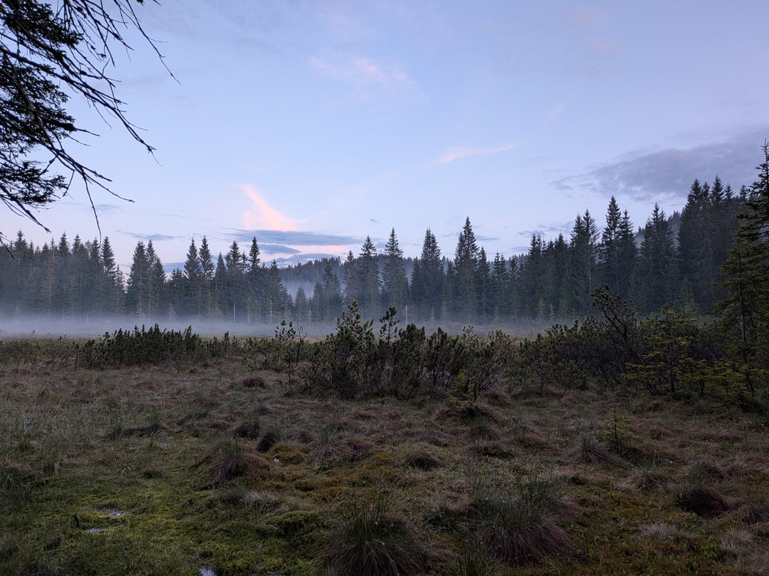 Goreljek Peat Bog-Bohinjska Bistrica必去景点