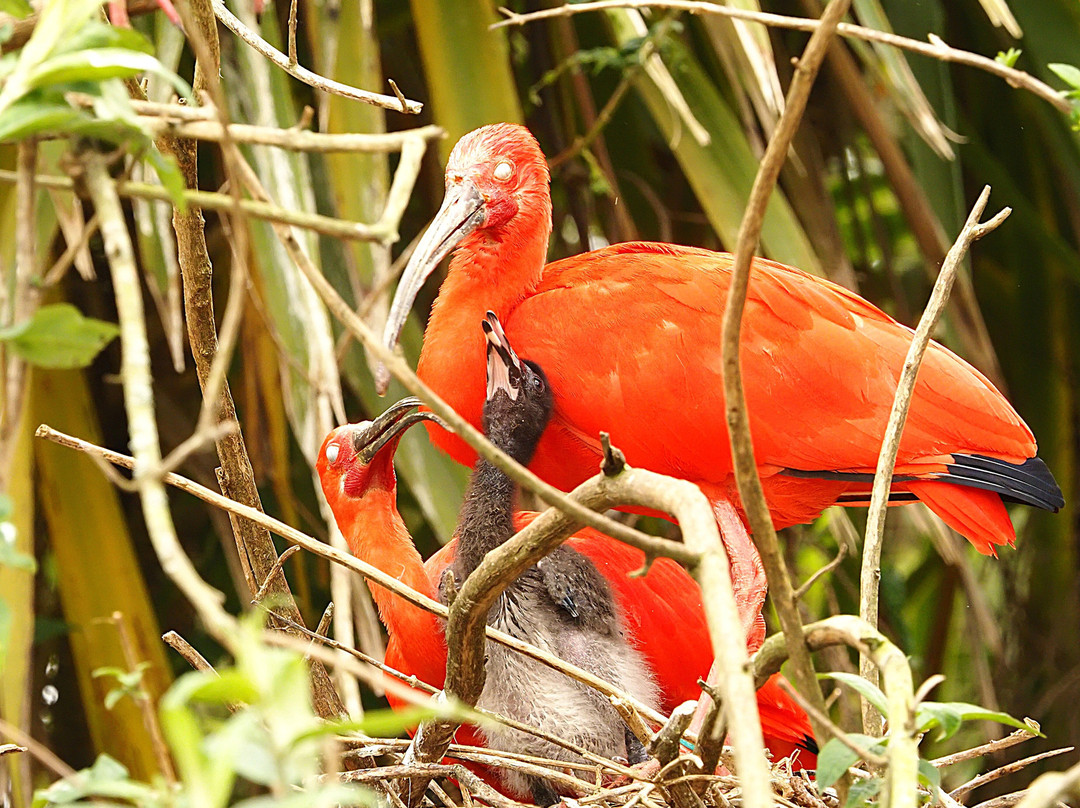 Amazon World Zoo Park-桑当必去景点