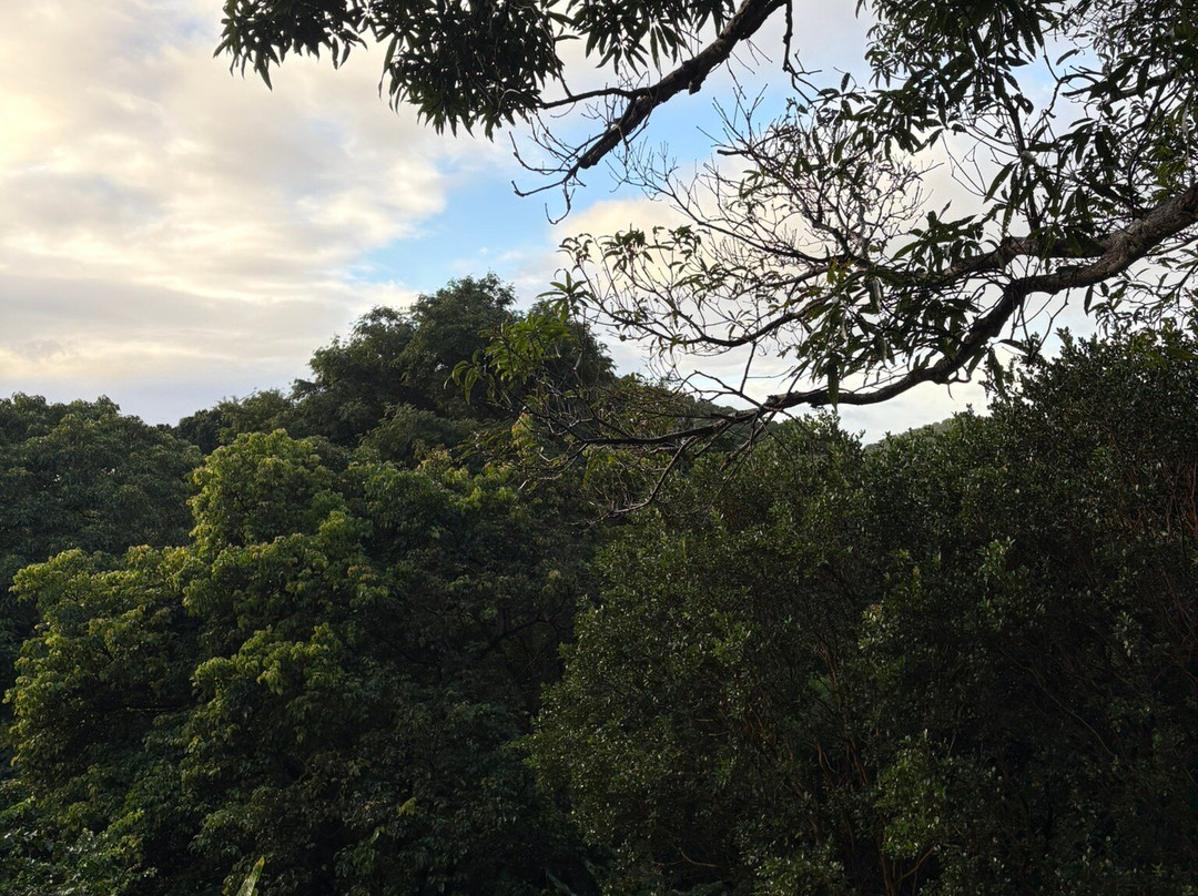 Lodge Terre De Soleil主图