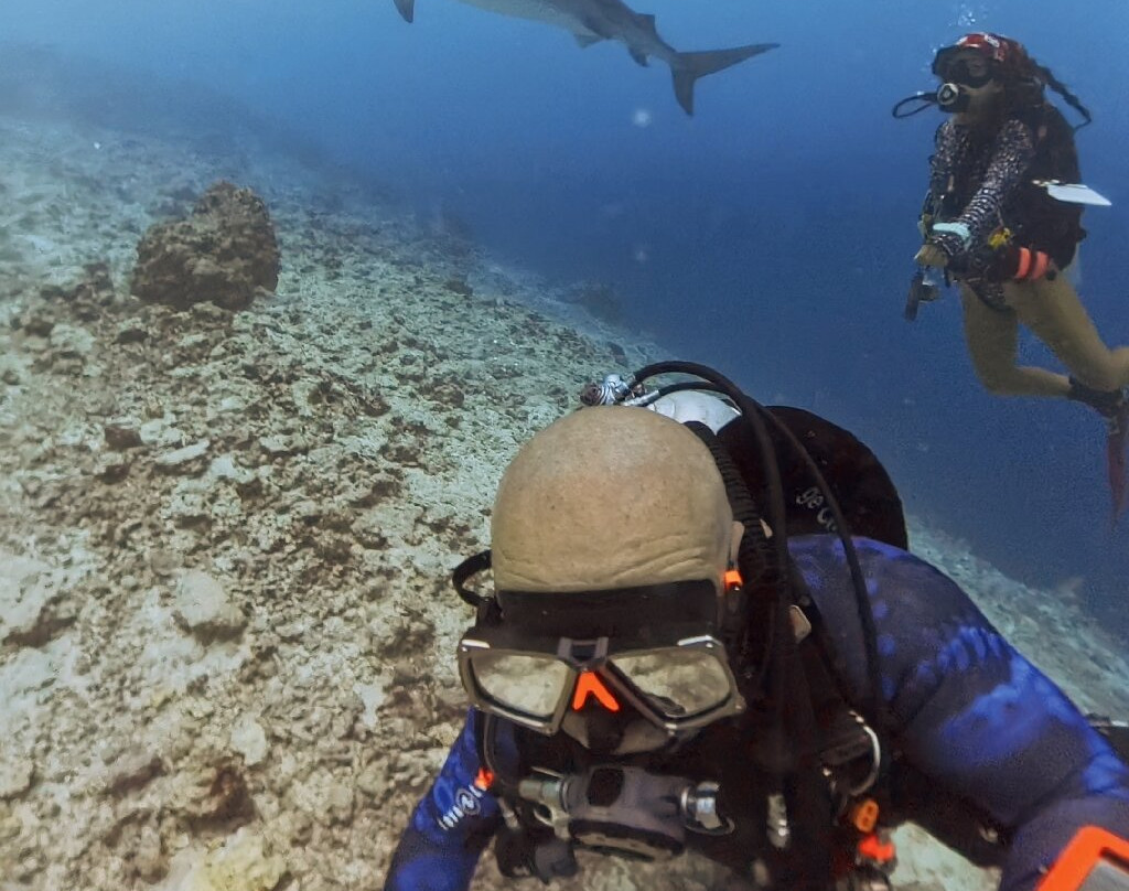 Fuvahmulah Scuba Club主图