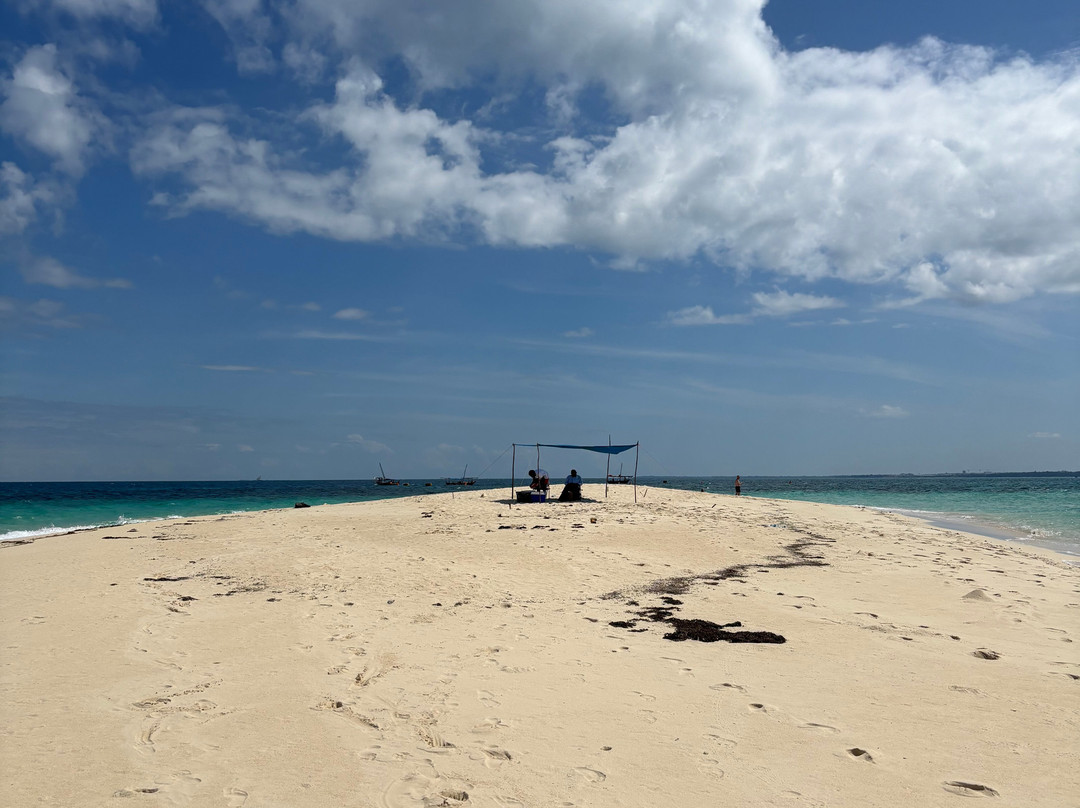 Triple J Zanzibar Tours And Transfers-桑给巴尔市必去景点