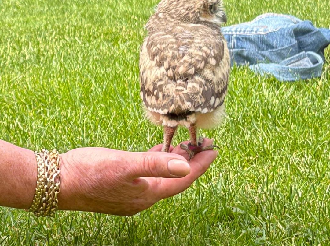 Mercer Falconry Raptor Park-Farnsfield必去景点