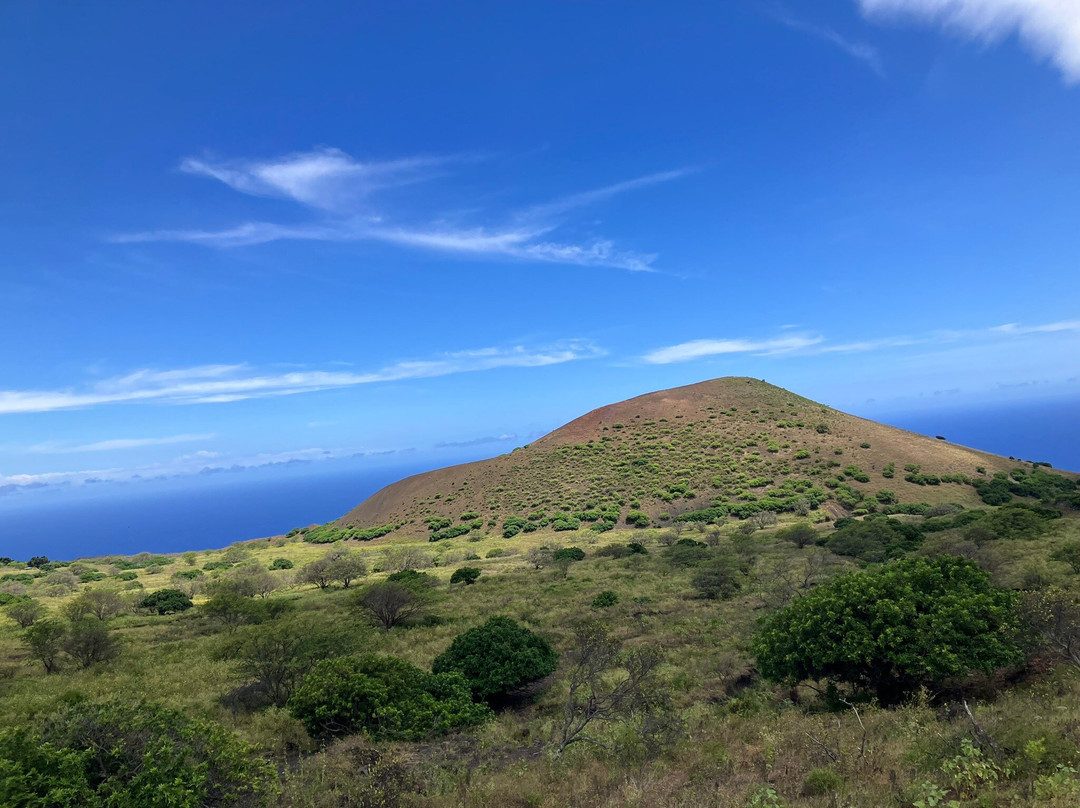 Triple L Ranch Horseback Tours-库拉必去景点