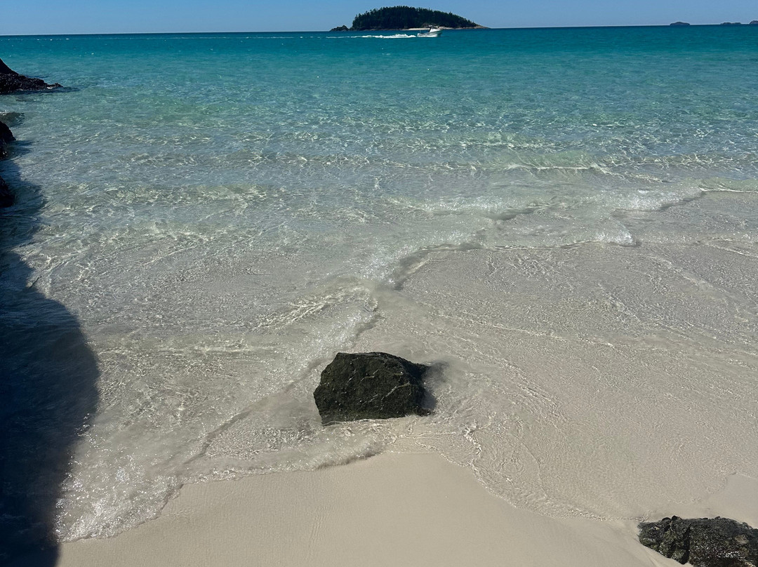 Salty Dog Sea Kayaking - Day Tours-舒特港必去景点