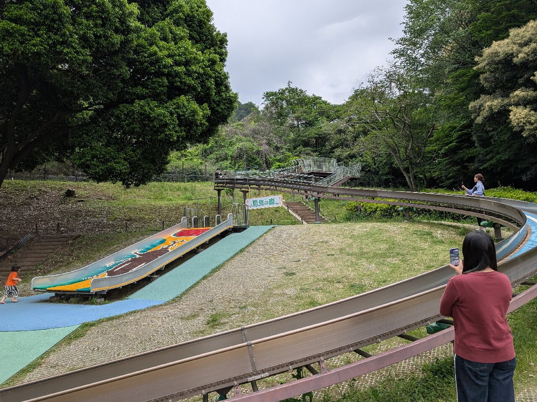 Akatsukayama Park (Gyogyo Land)-丰川市必去景点