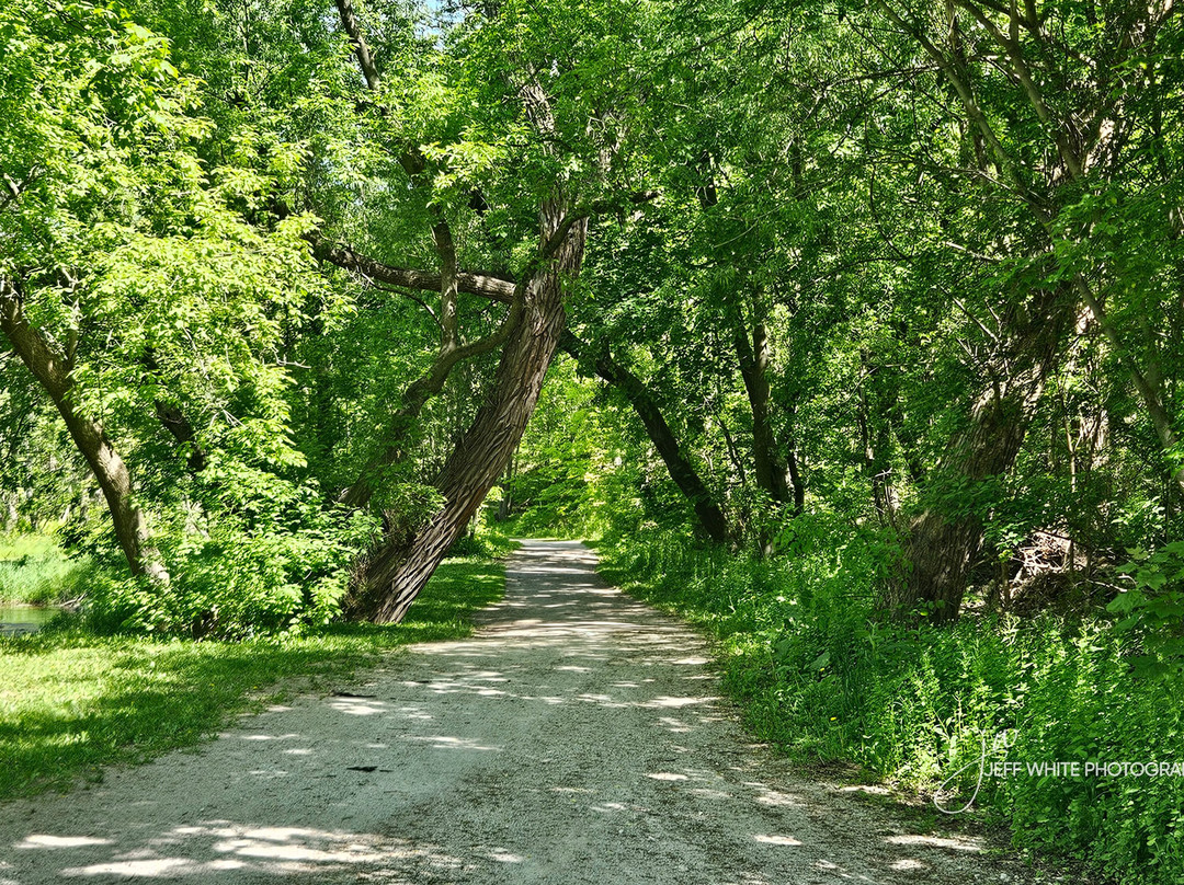 Centennial/Kinsmen Park-Stayner必去景点