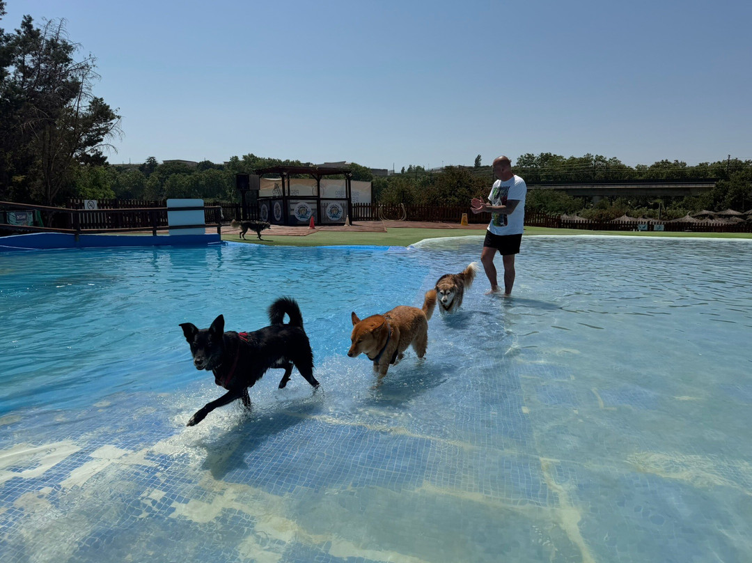 Aquapark Canino Perros Al Agua-拉罗卡德尔瓦列斯必去景点