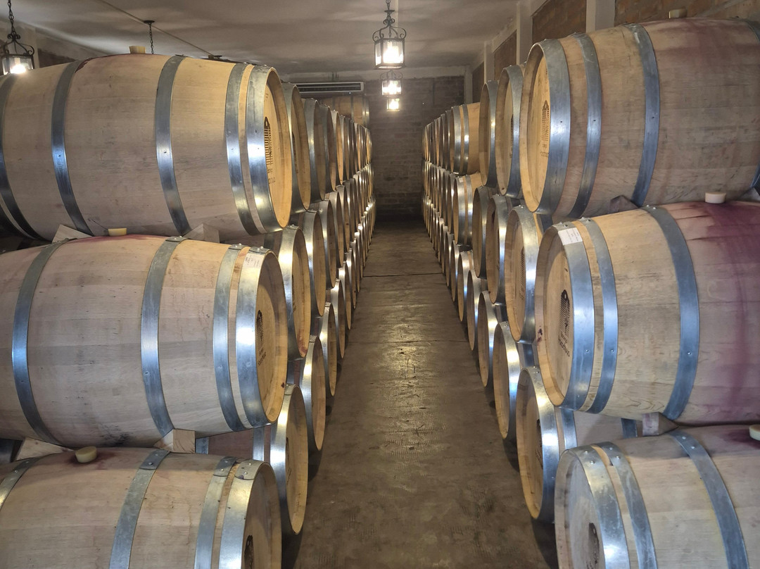 Bodega San Pedro de Yacochuya-卡法亚特必去景点