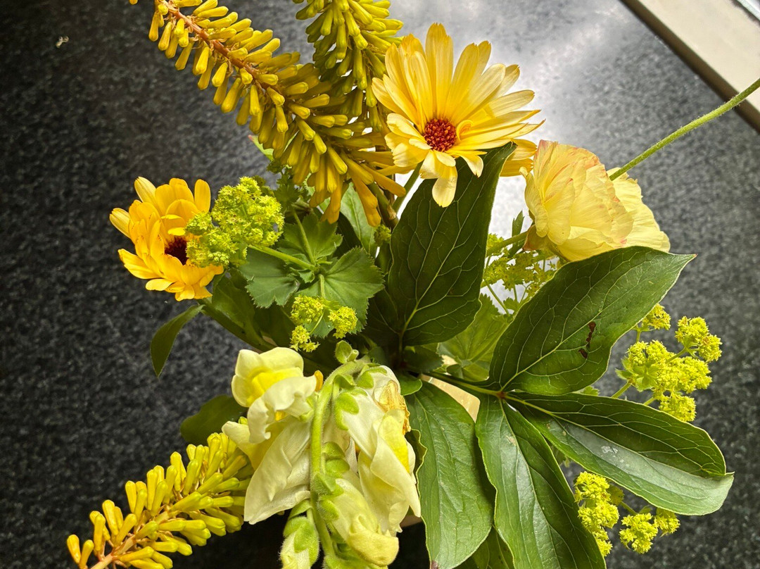 Snijbloemen Pluktuin Bakkum-Egmond-Binnen必去景点