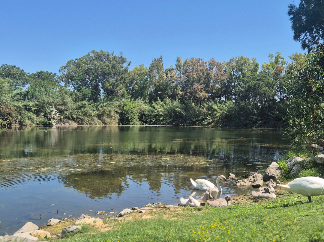 Laghi Nabi-Castel Volturno必去景点