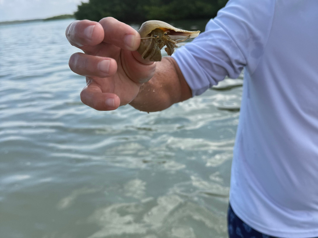 Sea N Things, LLC-Indian Shores必去景点