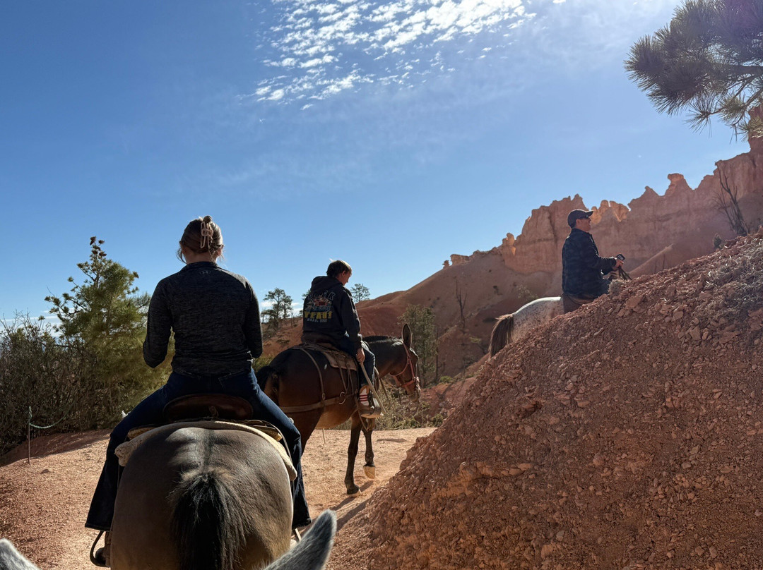 Canyon Trail Rides-特罗皮克必去景点