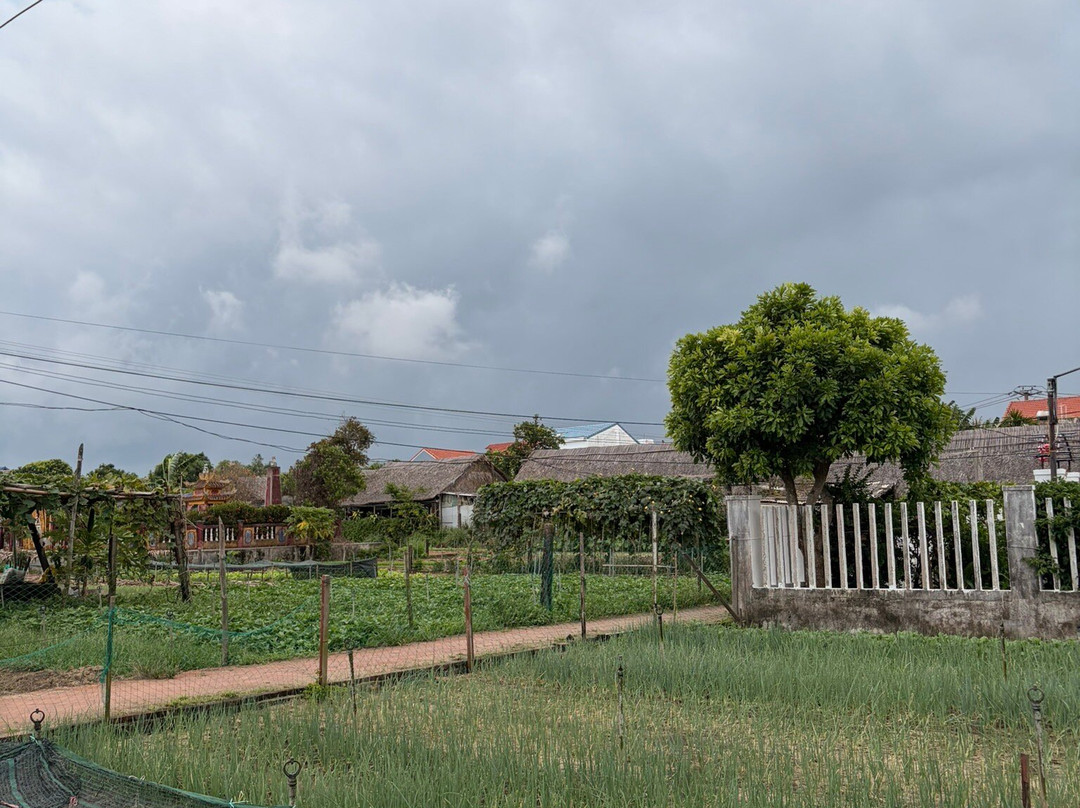 Tra Que Vegetable Village-会安必去景点