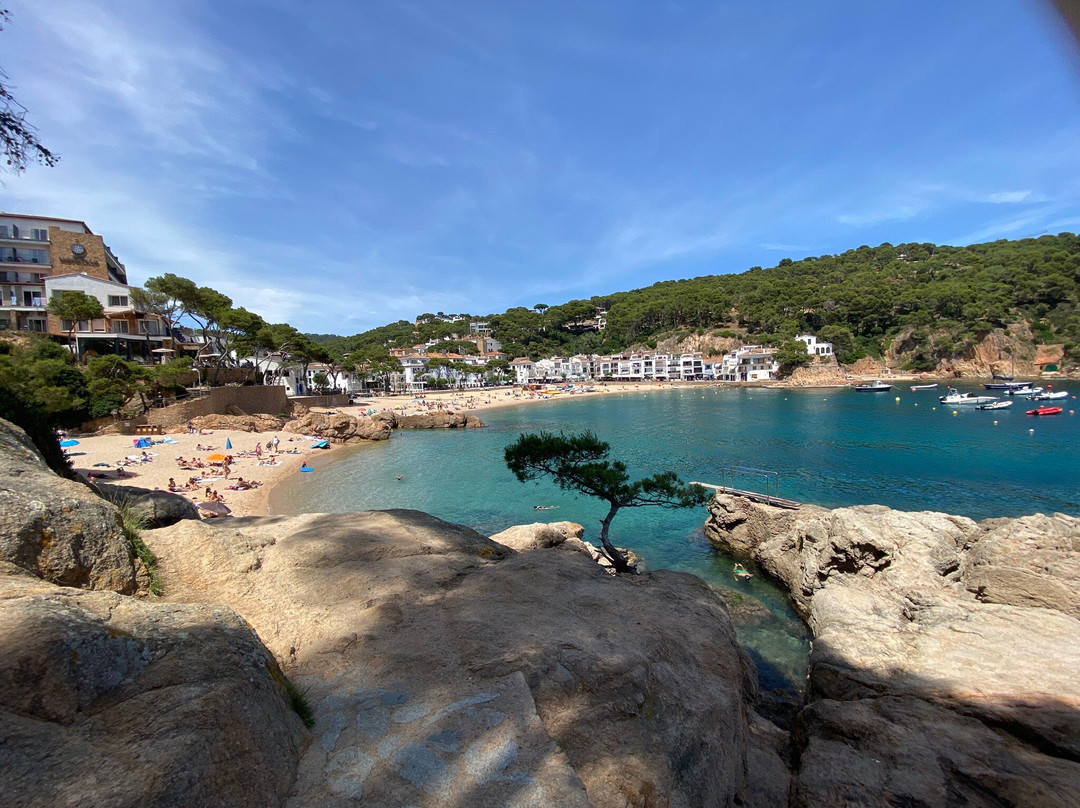 Tamariu Beach-Tamariu必去景点
