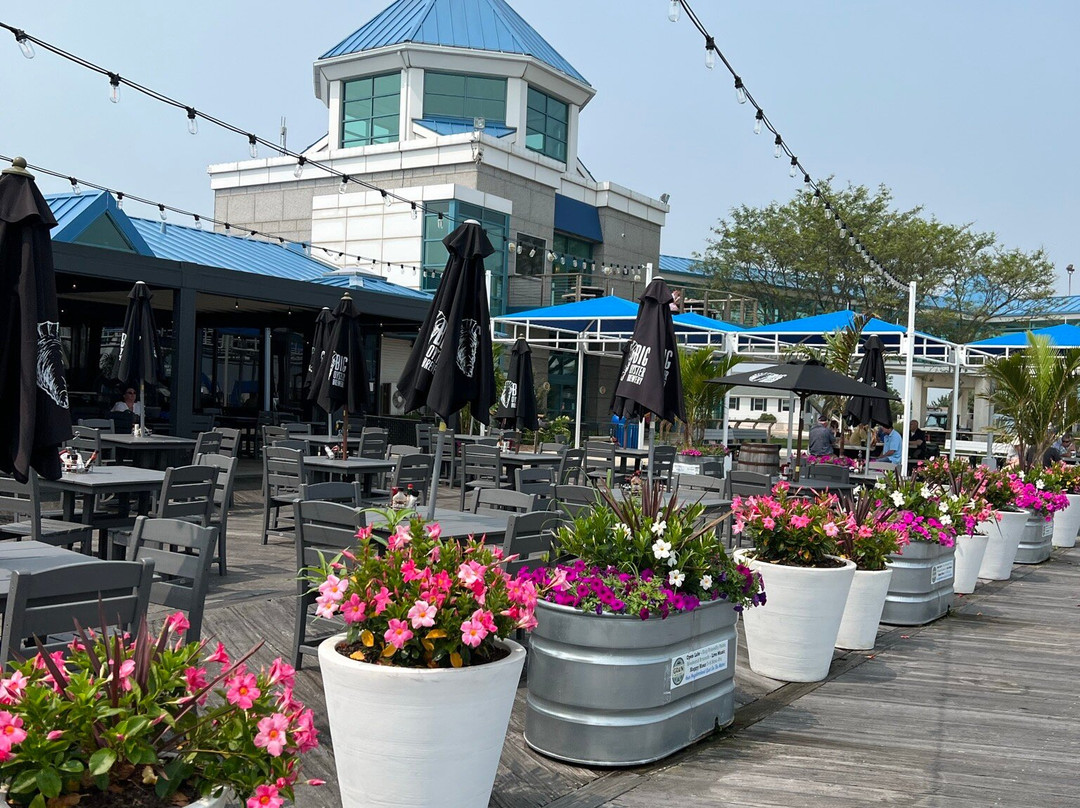 Cape May - Lewes Ferry-刘易斯必去景点