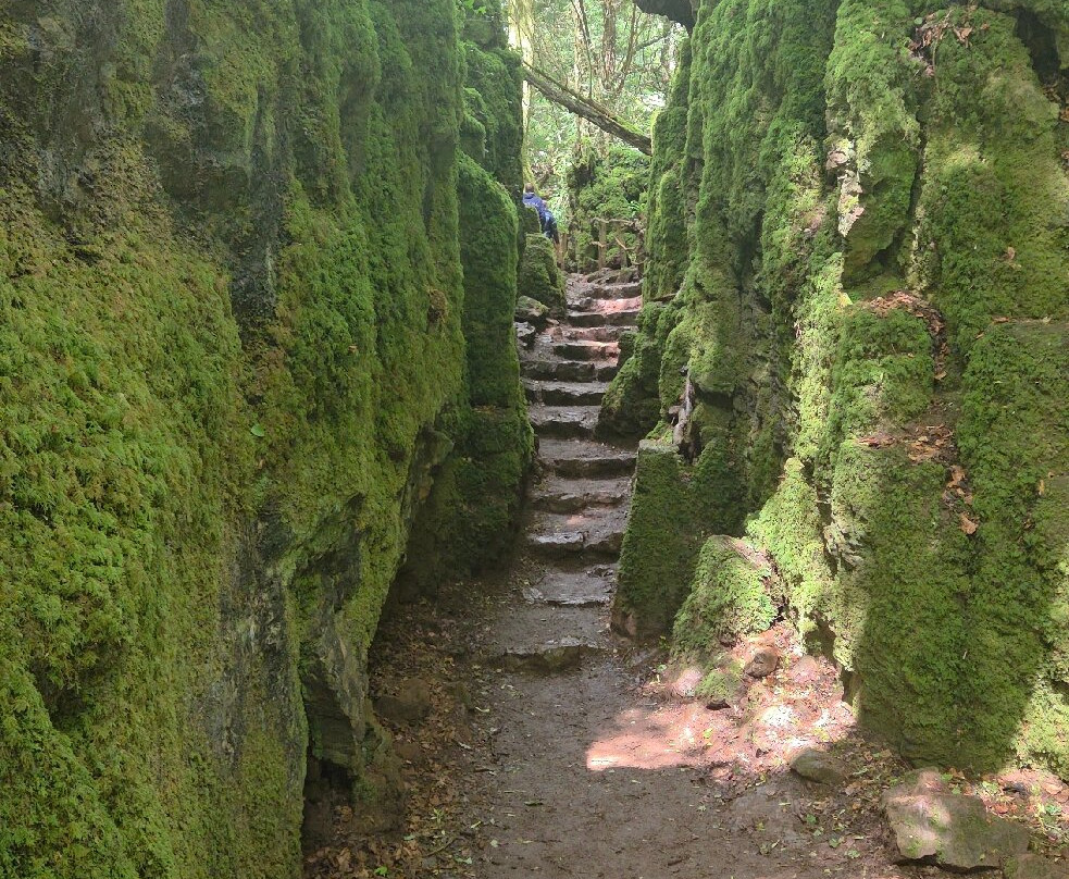 Puzzlewood-Coleford必去景点