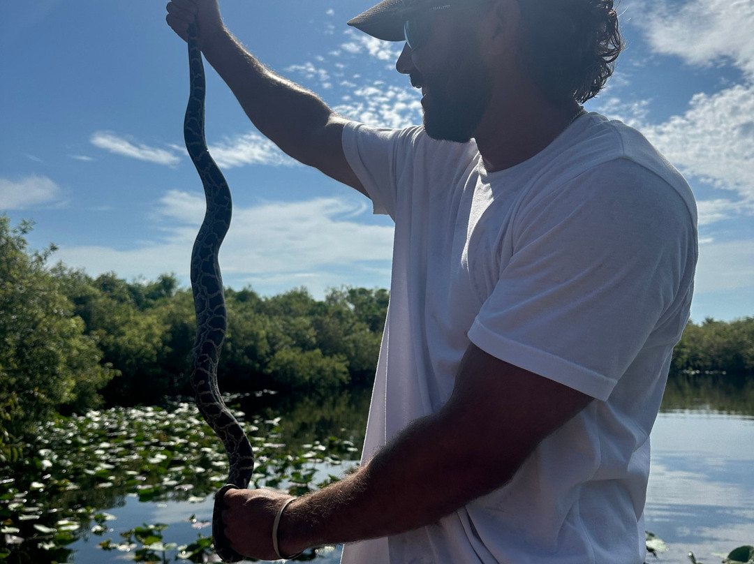 Everglades Swamp Tours-Everglades Wildlife Management Area必去景点
