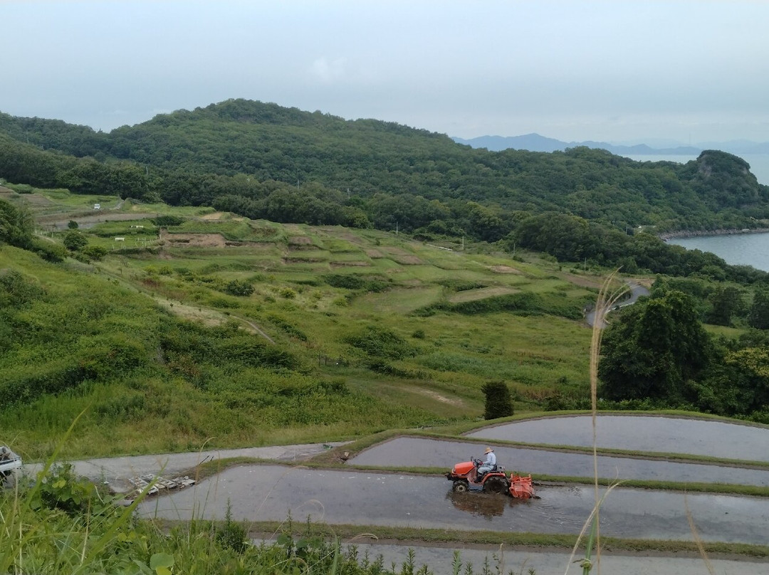 Teshima Terraced Rice Field Project-Teshima必去景点