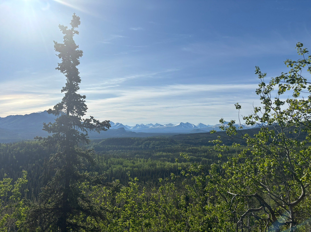 Denali Backcountry Guides-德纳利国家公园和自然保护区必去景点