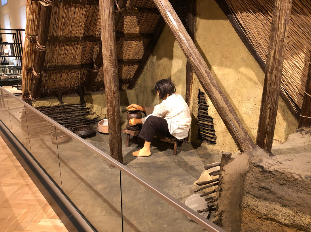 Complexul Muzeal Arad - Archaeology-History Section-阿拉德必去景点