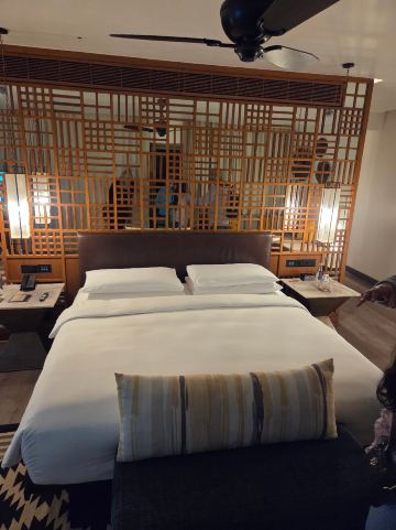 印度果阿邦阿丽拉迪瓦酒店-旅行者
