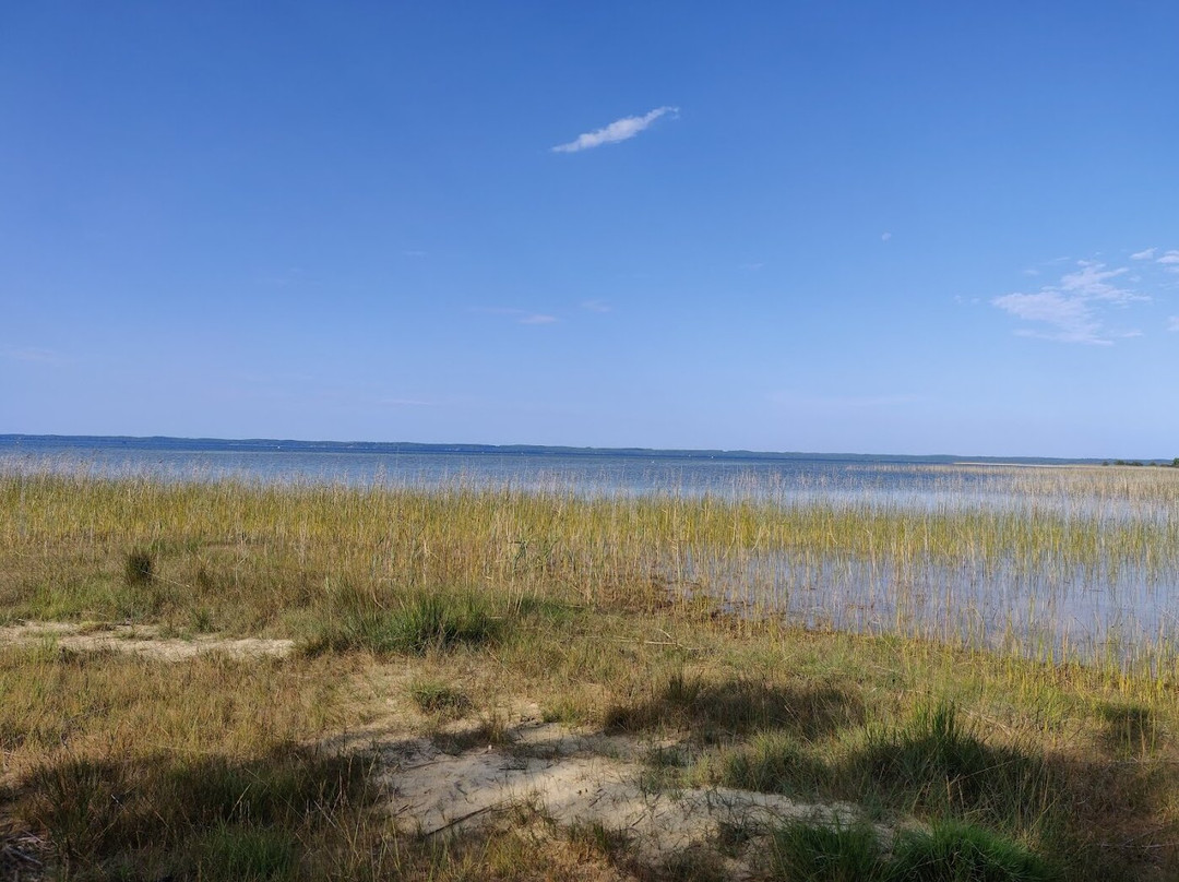 La Plage des Aigrettes