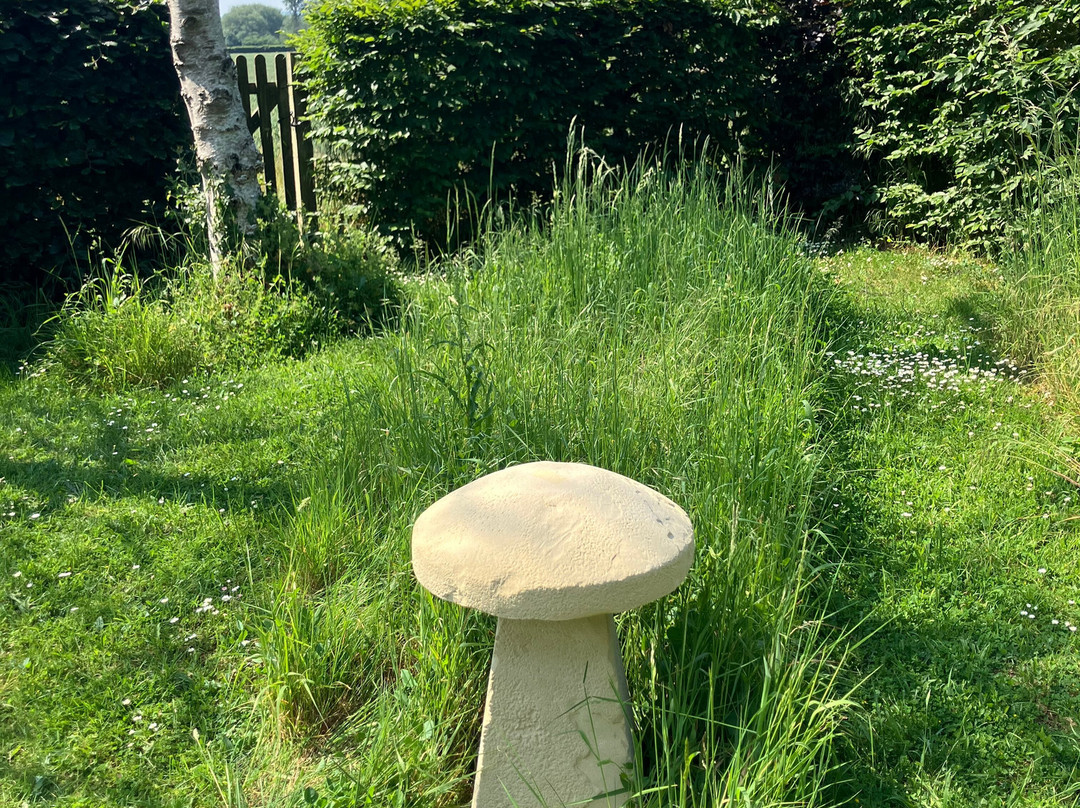Haddonstone Show Gardens-East Haddon必去景点