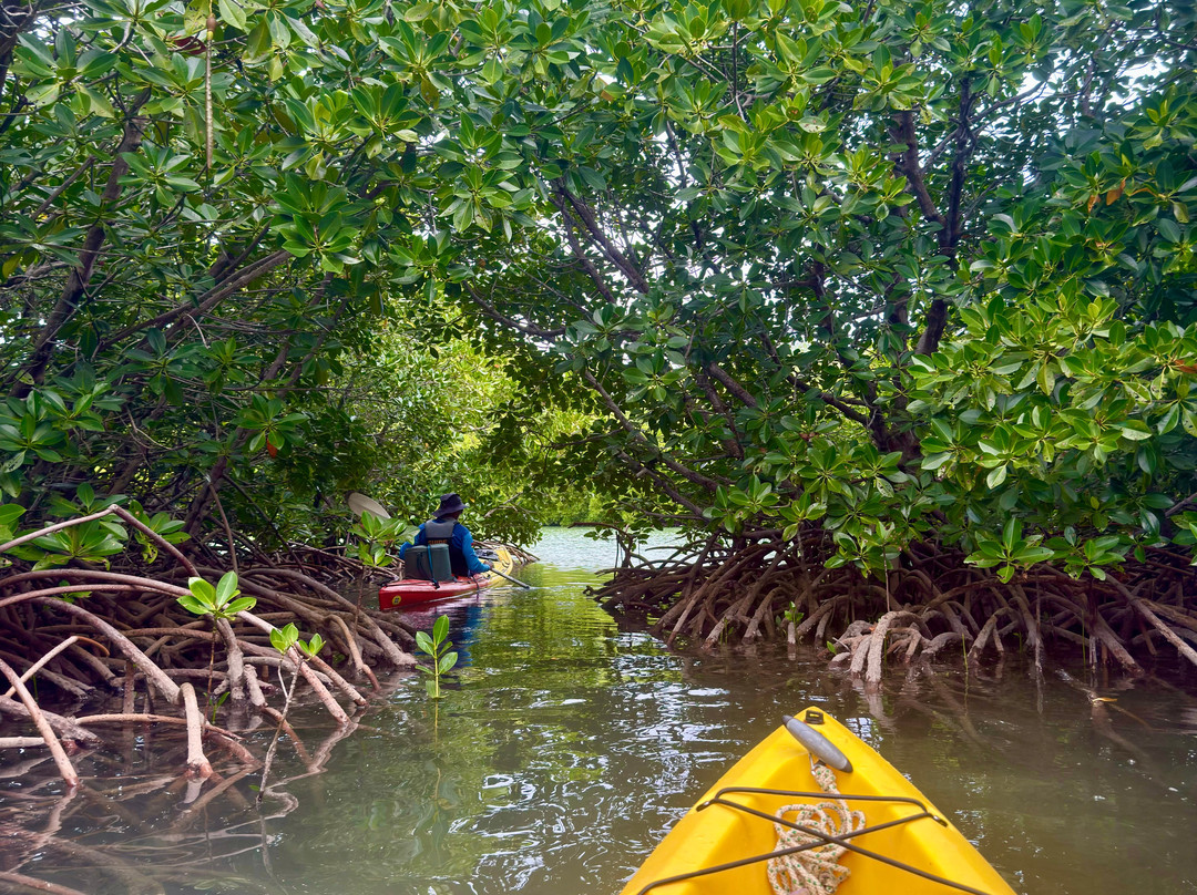 Sea Kayak Adventures-毛里求斯必去景点
