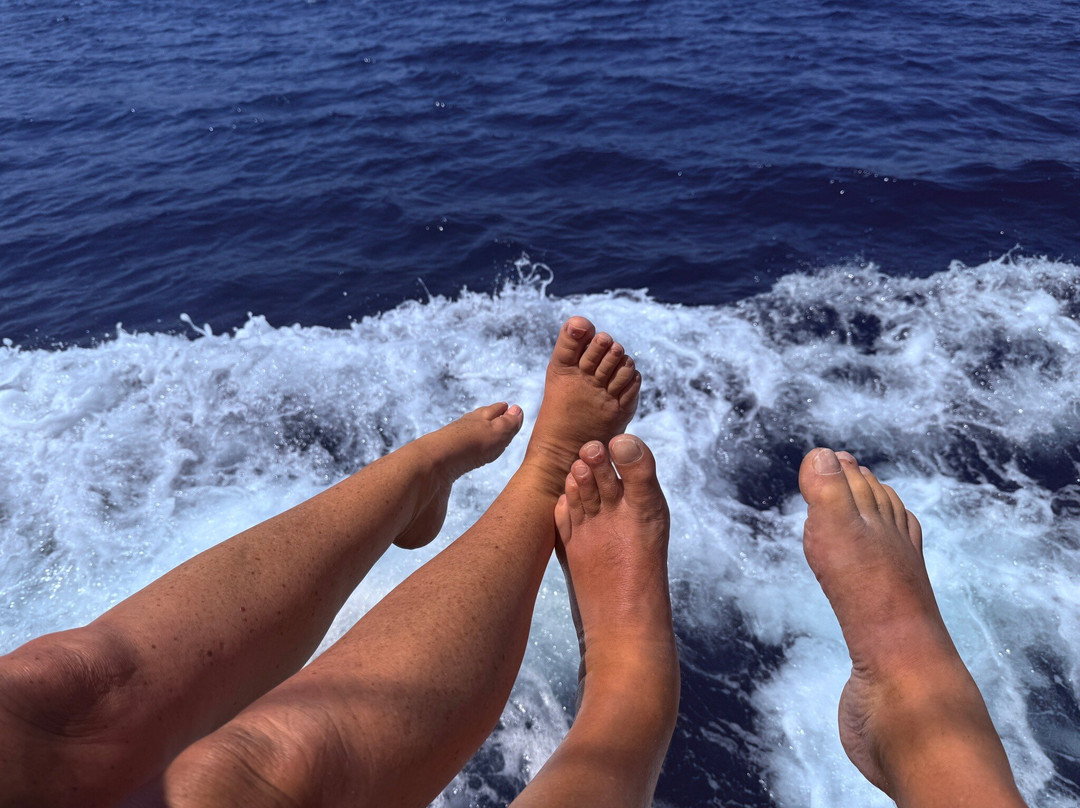 Jason Daily Cruises-Agia Anna必去景点