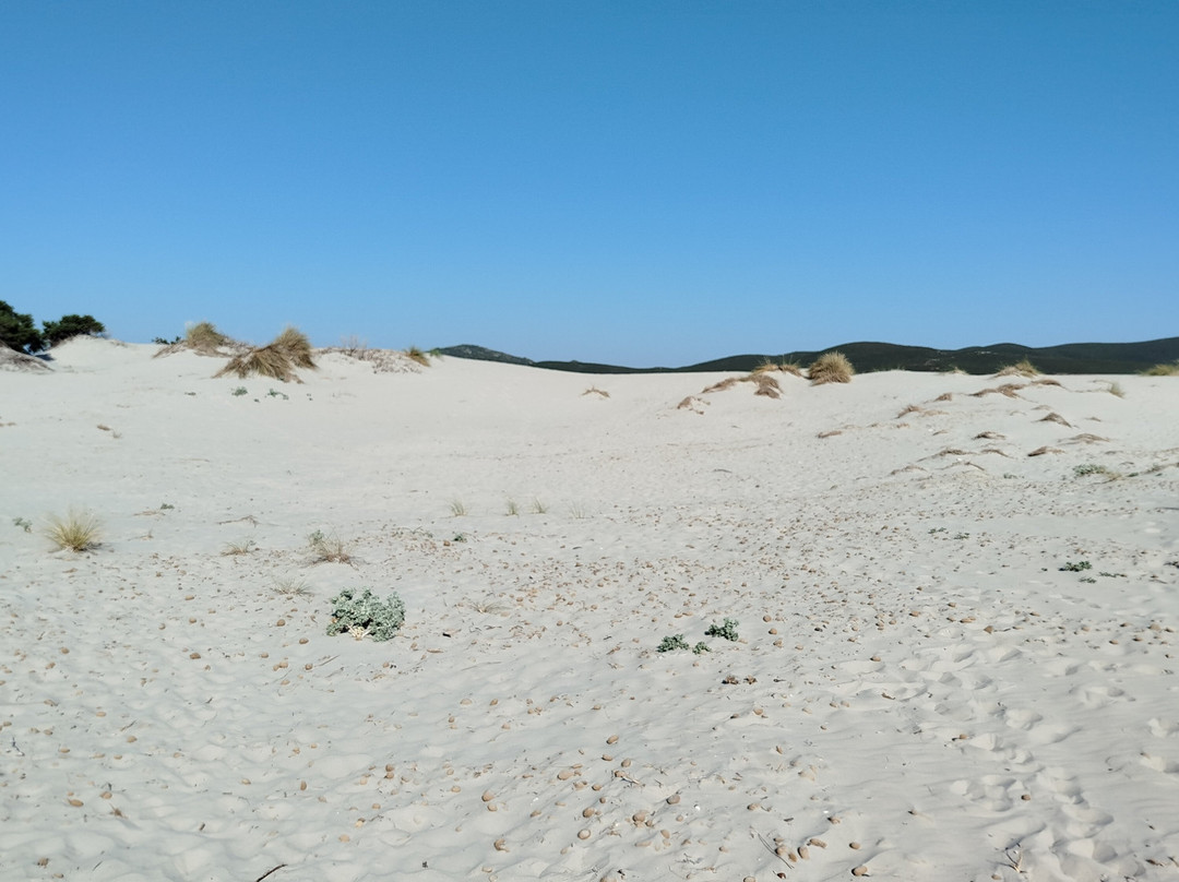 Bahia Porto Pino Beach-Sant'Anna Arresi必去景点
